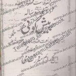 پیشبینی های شگفت انگیز شاه نعمت الله 1