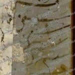 دانلود کتاب منطق الطیر