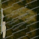 کتاب شرح نصاب الصبیان