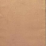 دانلود کتاب قئايد افضليه