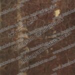 کتاب خطی د ر زمینه علوم غریبه