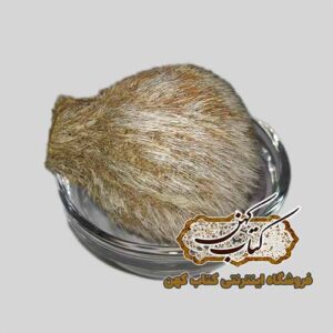 خرید ناف آهو اصل مخصوص مرکب سازی و دعانویسی