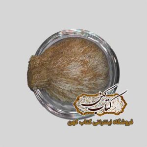 خرید ناف آهو اصل مخصوص مرکب سازی و دعانویسی
