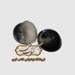 مهره مار مامبای سیاه اصل
