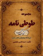 نسخه خطی کتاب طوطی نامه ضیاء نخشبی