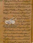 نمونه ای از متن صفحه نسخه خطی کتاب طوطی نامه ضیاء نخشبی